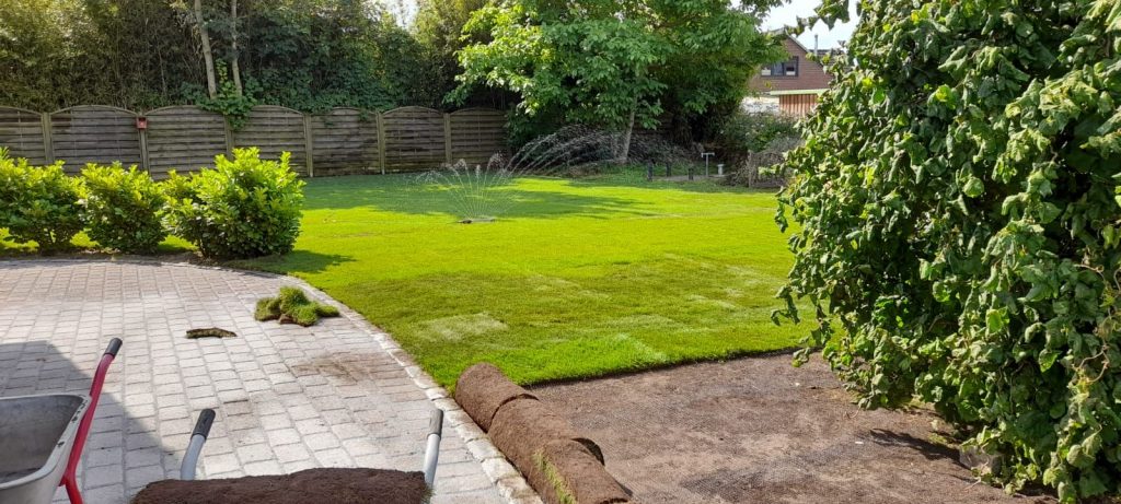 rollrasen verlegen garten gestalten