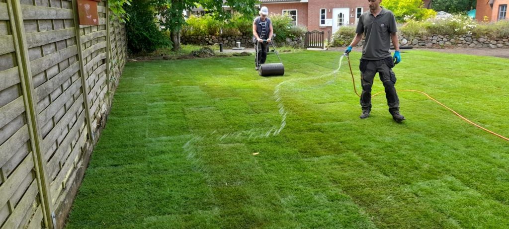 neuverlegter rasen waessern