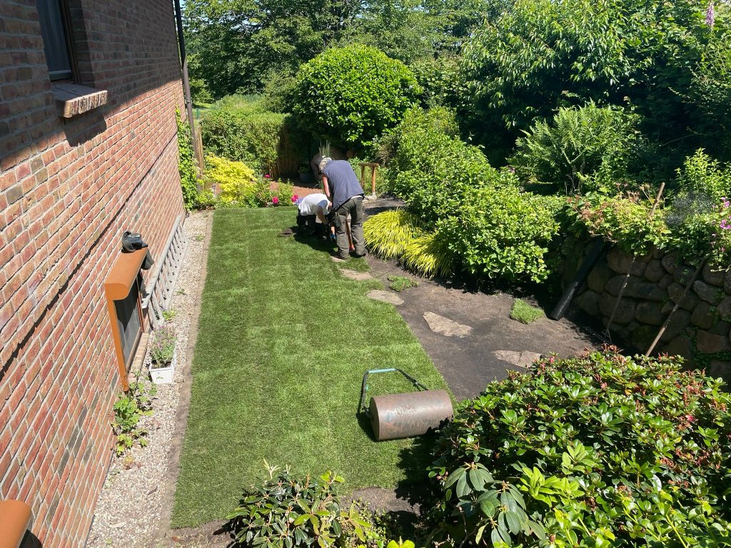 Gartenpflege Kiel - rasenwalze-rasen