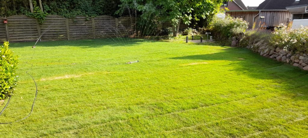 rollrasen-fertig-verlegt