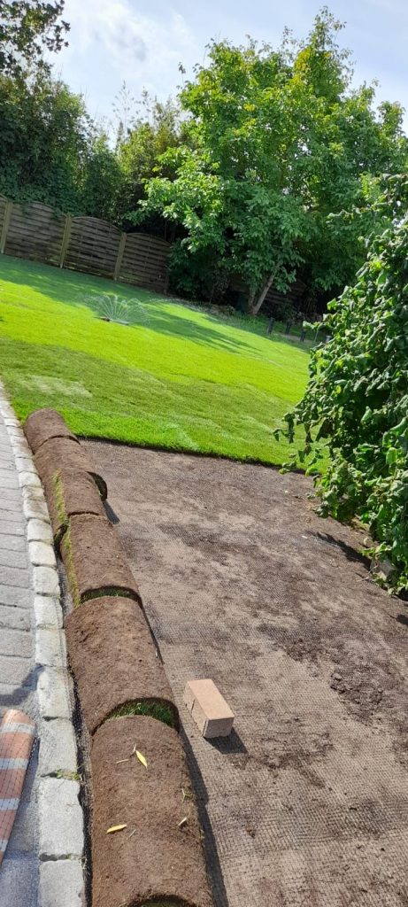 rollrasen verlegen garten gestalten